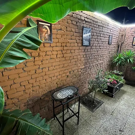 Garden 29